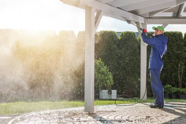 Best Soft Washing for Delicate Surfaces in Riverview, MO